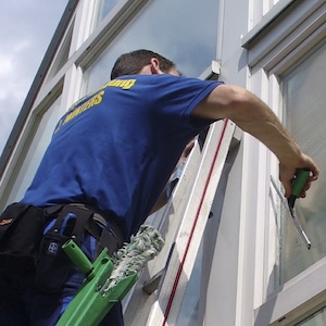Der-beste-Fensterputzer-in-Thon-Garten-hinter-der-Veste-Nuernberg-oben-auf-einer-Leiter